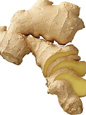 Ingefær har bakteridrepende stoffer som kan være gunstig når du kjenner en forkjølelse kommer snikende. Ingefær har bakteridrepende stoffer som kan være gunstig når du kjenner en forkjølelse kommer snikende.