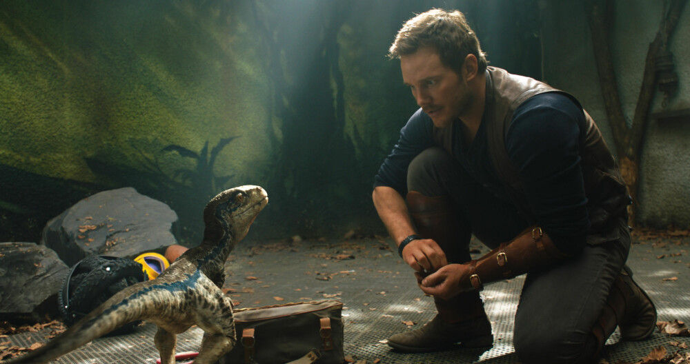 Owen (Chris Pratt) og Blue i Jurassic World: Fallen Kingdom. Owen (Chris Pratt) og Blue i Jurassic World: Fallen Kingdom.