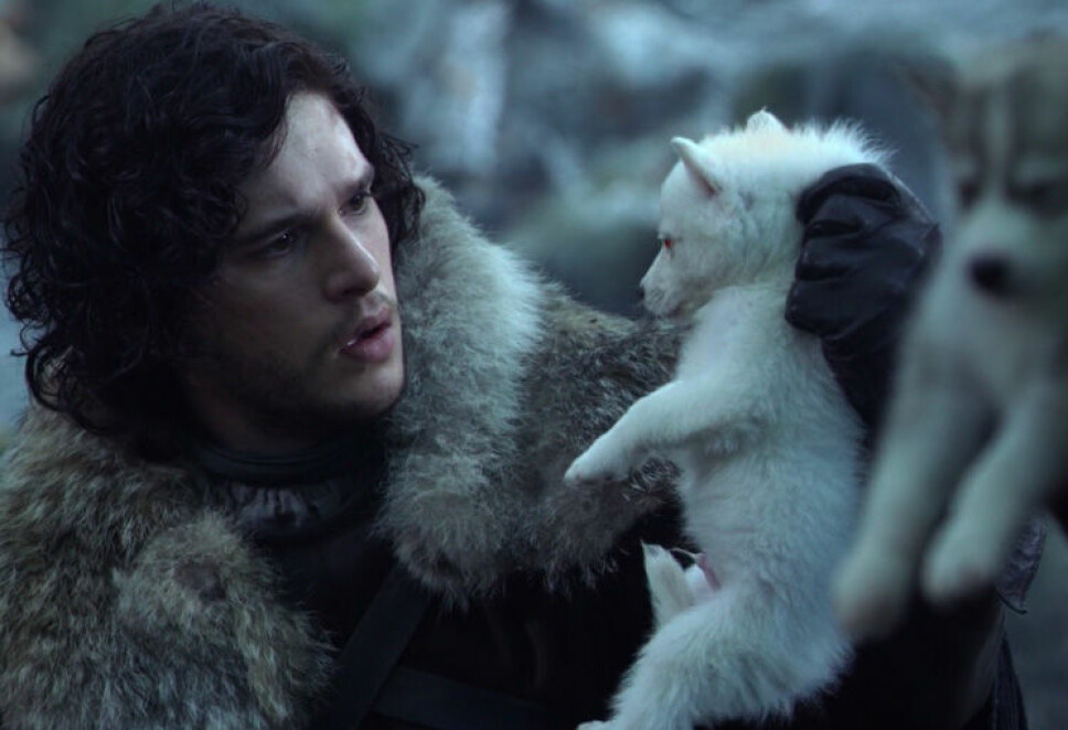 ULVEVENN: Jon Snows ulv Ghost gjør, ifølge spesialeffekt-sjef Joe Bauer, comeback i den siste sesongen av Game of Thrones. ULVEVENN: Jon Snows ulv Ghost gjør, ifølge spesialeffekt-sjef Joe Bauer, comeback i den siste sesongen av Game of Thrones.