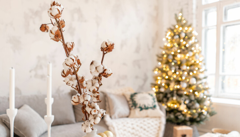 Sett kvister i en vase, og man kan gjerne også pynte de opp med sløyfebånd eller julekuler. Sett kvister i en vase, og man kan gjerne også pynte de opp med sløyfebånd eller julekuler.