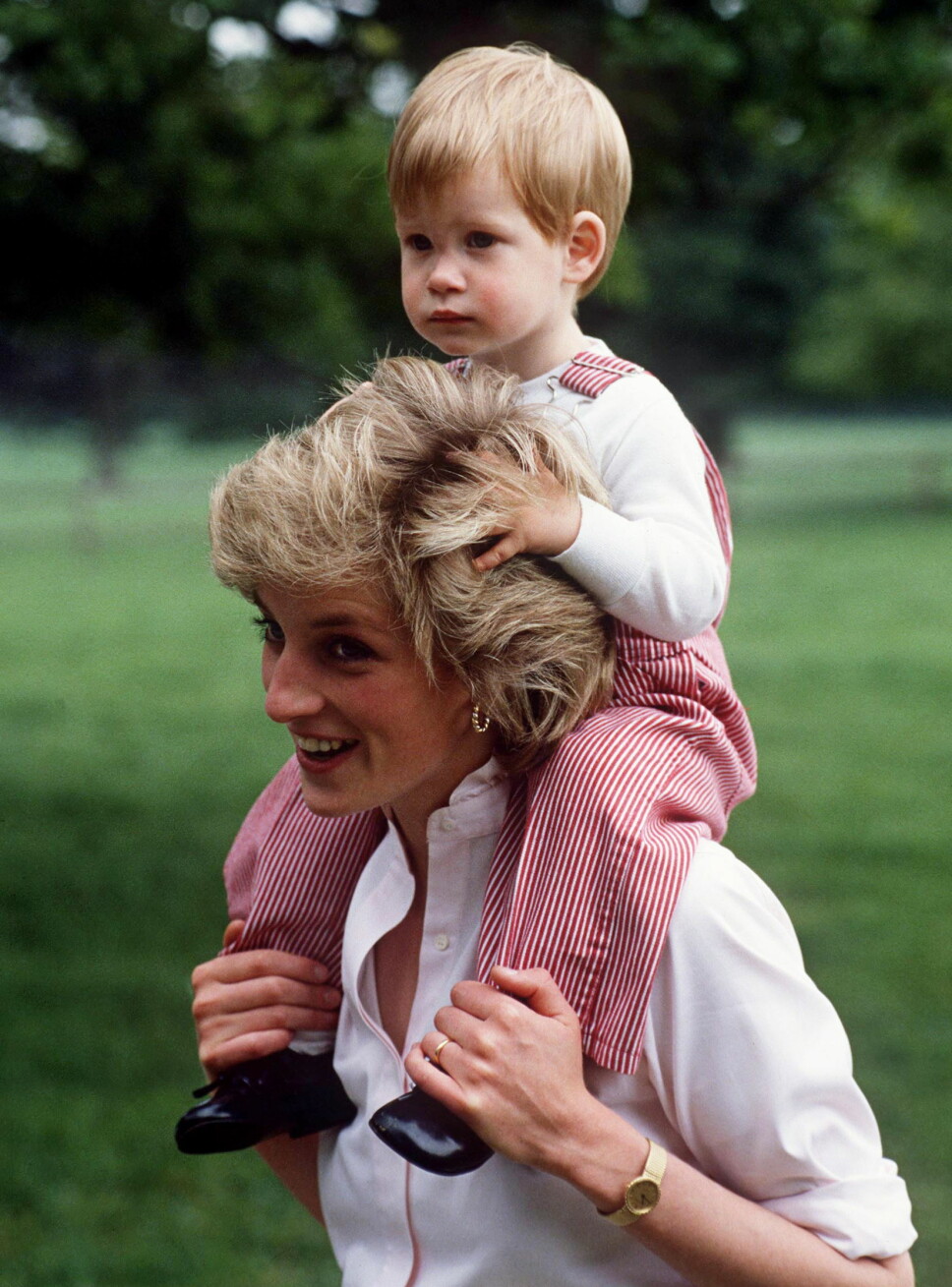 OMKOM: Prinsesse Diana døde som kjent i en bilulykke i Paris i 1997 etter å ha blitt jaget av paparazzier gjennom byen. Her er hun fotografert med prins Harry på skuldrene sommeren 1986. OMKOM: Prinsesse Diana døde som kjent i en bilulykke i Paris i 1997 etter å ha blitt jaget av paparazzier gjennom byen. Her er hun fotografert med prins Harry på skuldrene sommeren 1986.