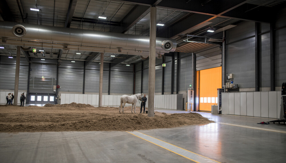Under Norwegian Horse Show kommer det til å være 550 hester i Norges Varehus i Lillestrøm. Under Norwegian Horse Show kommer det til å være 550 hester i Norges Varehus i Lillestrøm.