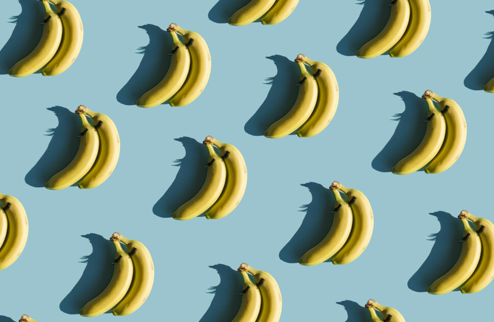 DIGG: Bananer er skikkelig deilig snacks, men hvordan får du dem til å holde lengst mulig? Internett gir deg svaret. DIGG: Bananer er skikkelig deilig snacks, men hvordan får du dem til å holde lengst mulig? Internett gir deg svaret.