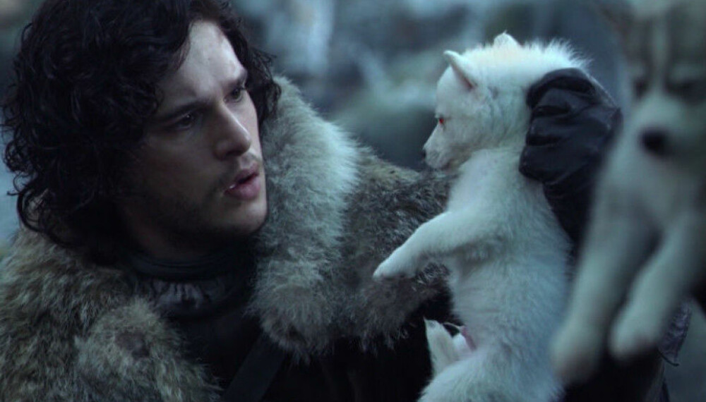 KOMMER TILBAKE: Vi har ikke sett noe til Jon Snows kjæledegge Ghost i det siste. Det skal det ifølge spesialeffektsjefen bli forandring på i siste sesong. KOMMER TILBAKE: Vi har ikke sett noe til Jon Snows kjæledegge Ghost i det siste. Det skal det ifølge spesialeffektsjefen bli forandring på i siste sesong.